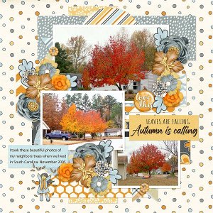 Autumn Calling