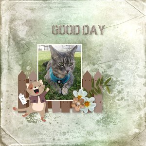DSD Mini Kit Challenge with CarolW Designs