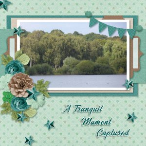 A Tranquil Moment Captured