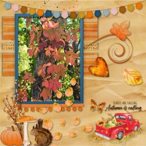 Leaves are Falling