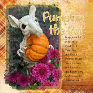 Pumpkin the Rat