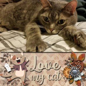 Love my Cat