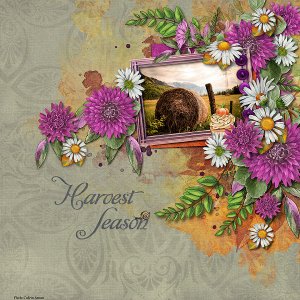 Harvest Season by ADB Designs