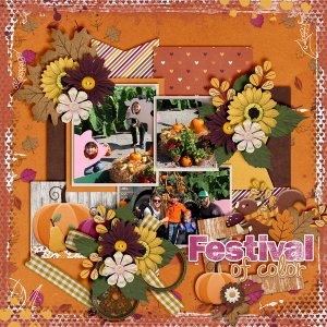 Festival-Of-Color