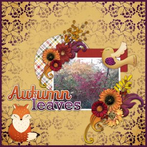 Autumn Leaves