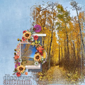 Discover Autumn