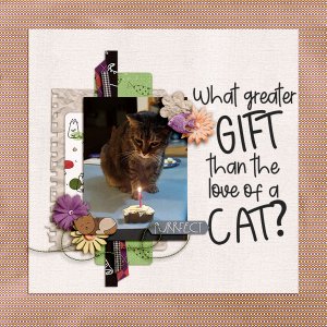 Purrfect