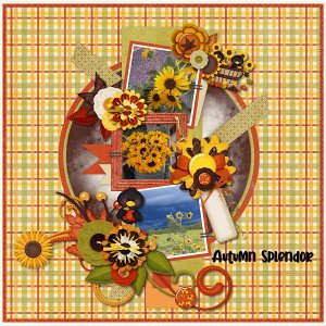 Autumn Splendor