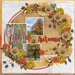 Autumn Leaves
