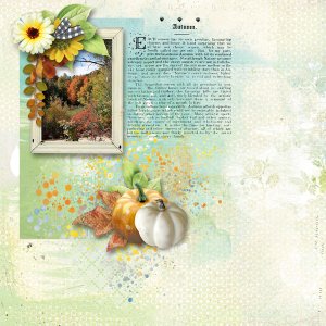 colours of Autumn