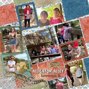 Alligator Alley