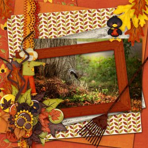 looking for fall