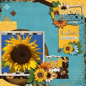 Sunflower Season