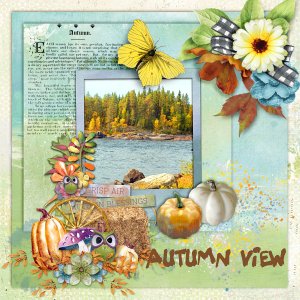 Autumn-view1