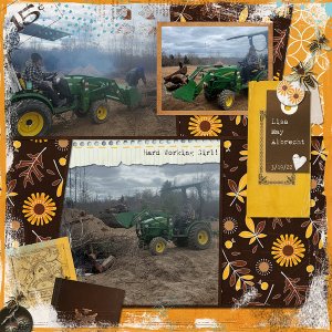 Fields of Gold