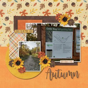 Smells Like Autumn 2