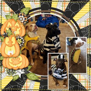Trick or Treat