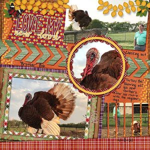 GS-WordArtCh1022-TurkeyBobsNewFeathers4821