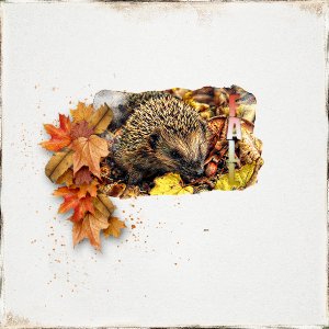 fall