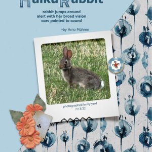 Haiku Rabbit