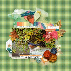 Fall Foliage