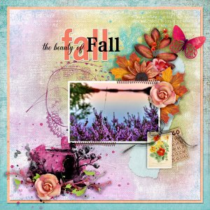 The-beauty-of-fall2