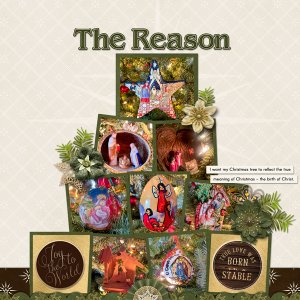 The Reason