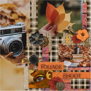 Foliage Shoot