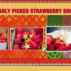 Freshly Picked Strawberry Shortcake
