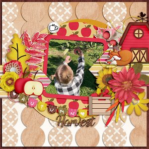 Autumn Harvest
