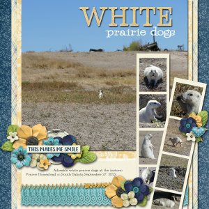White Prairie Dogs