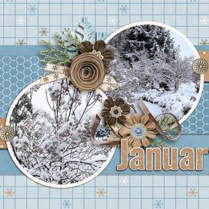 Jan-top