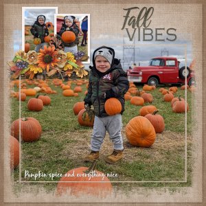 Pumpkin picking