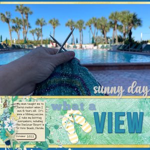 My Knitting View