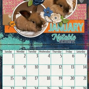 January Notable Moments