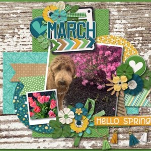 March 2023 Calendar Top