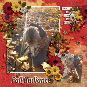 Fall Radiance
