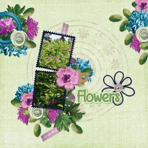 flowers49