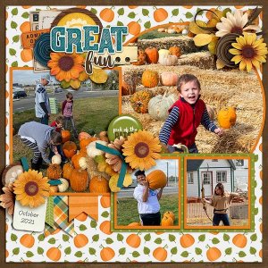 pumpkin-patch