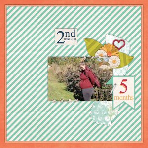 2nd Trimester
