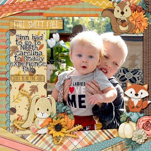 fall-sweet-fall2