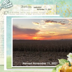 Harvest 2021