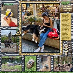 ACs Wild Adventures of Life
