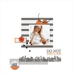 do not disturb