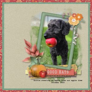 Good Eats - October 2022