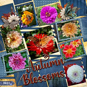 Autumn blossoms