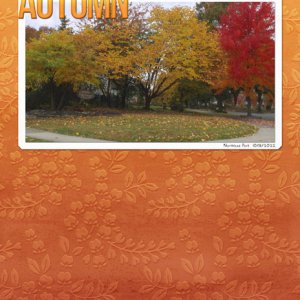 Autumn