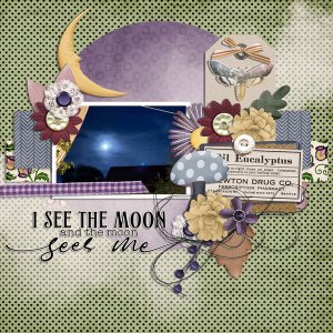 I see the moon