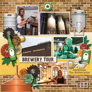 Heineken Tour
