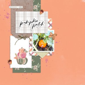 Pumpkin Patch